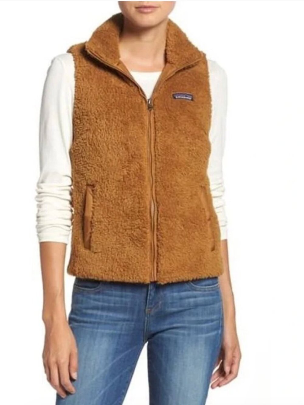 Patagonia Los Gatos Fleece Vest